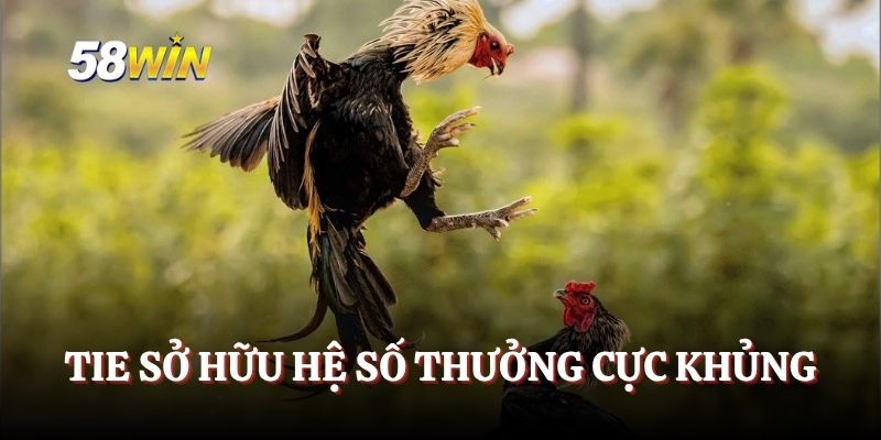 Tie sở hữu hệ số thưởng cực khủng